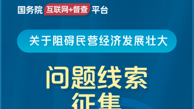 骚女人日大吊网国务院“互联网+督查”平台公开征集阻碍民营经济发展壮大问题线索